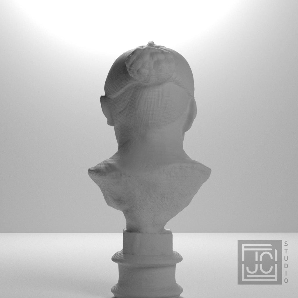 Elderly Roman Woman 3D Printed Collectible Bust