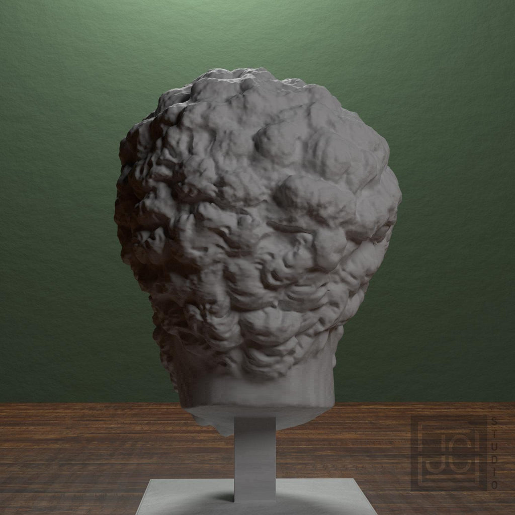 Lucius Verus 3D Printed Collectible Bust