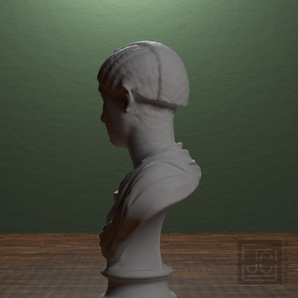 Tranquillina 3D Printed Collectible Bust