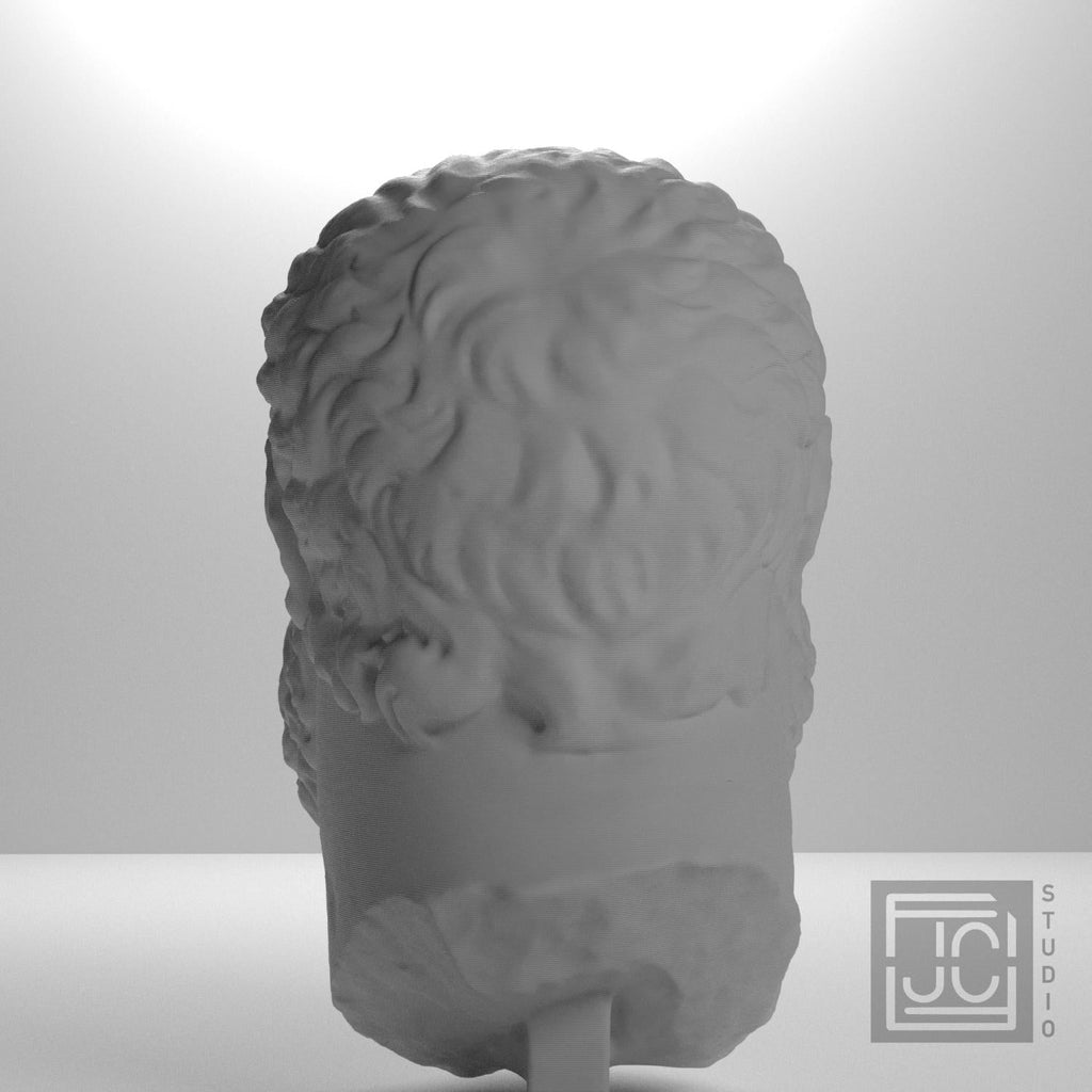 Emperor Maximian Head 3D Printed Museum Replica