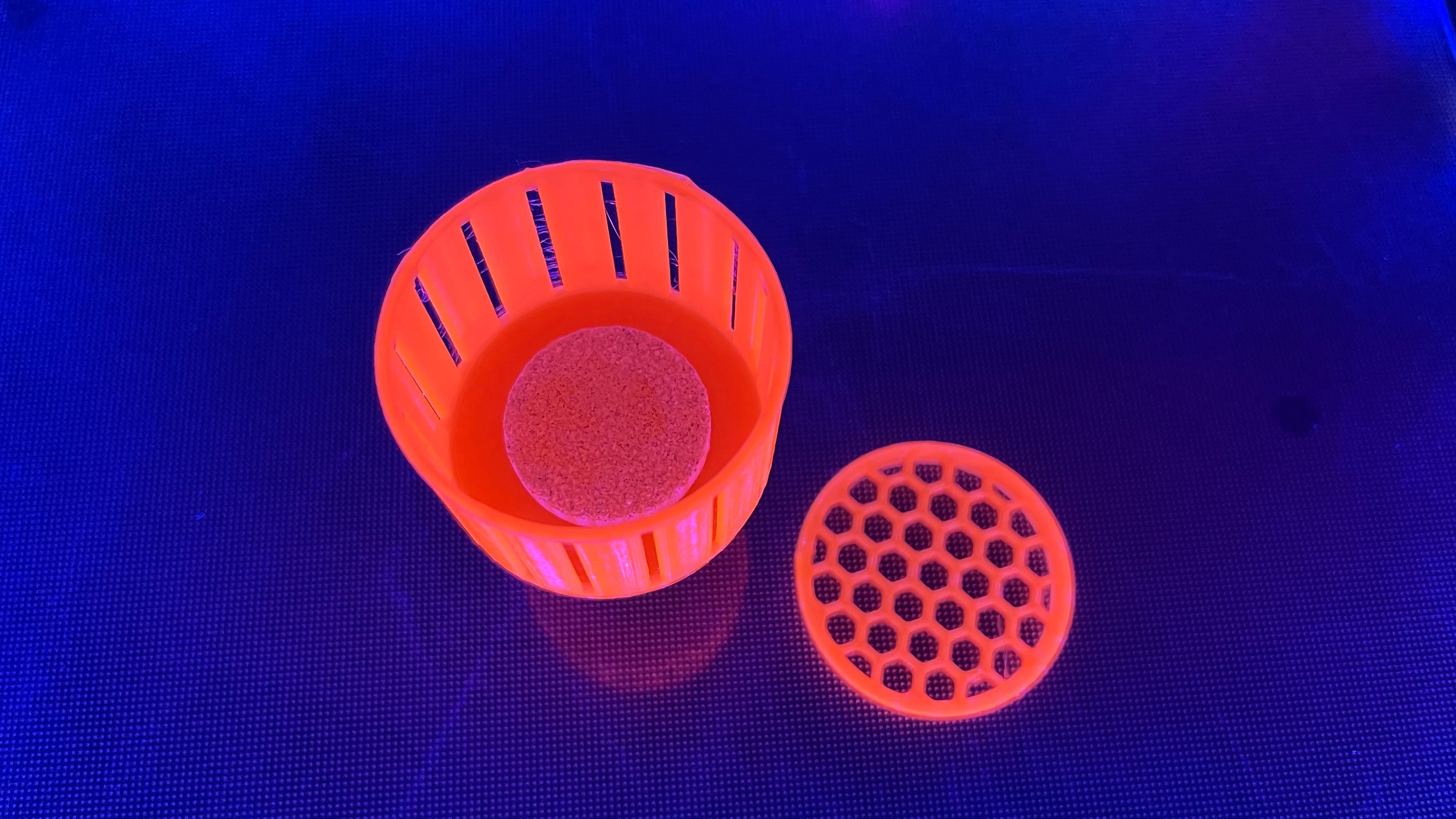 2-Inch Mushroom Detention Center Coral Holder