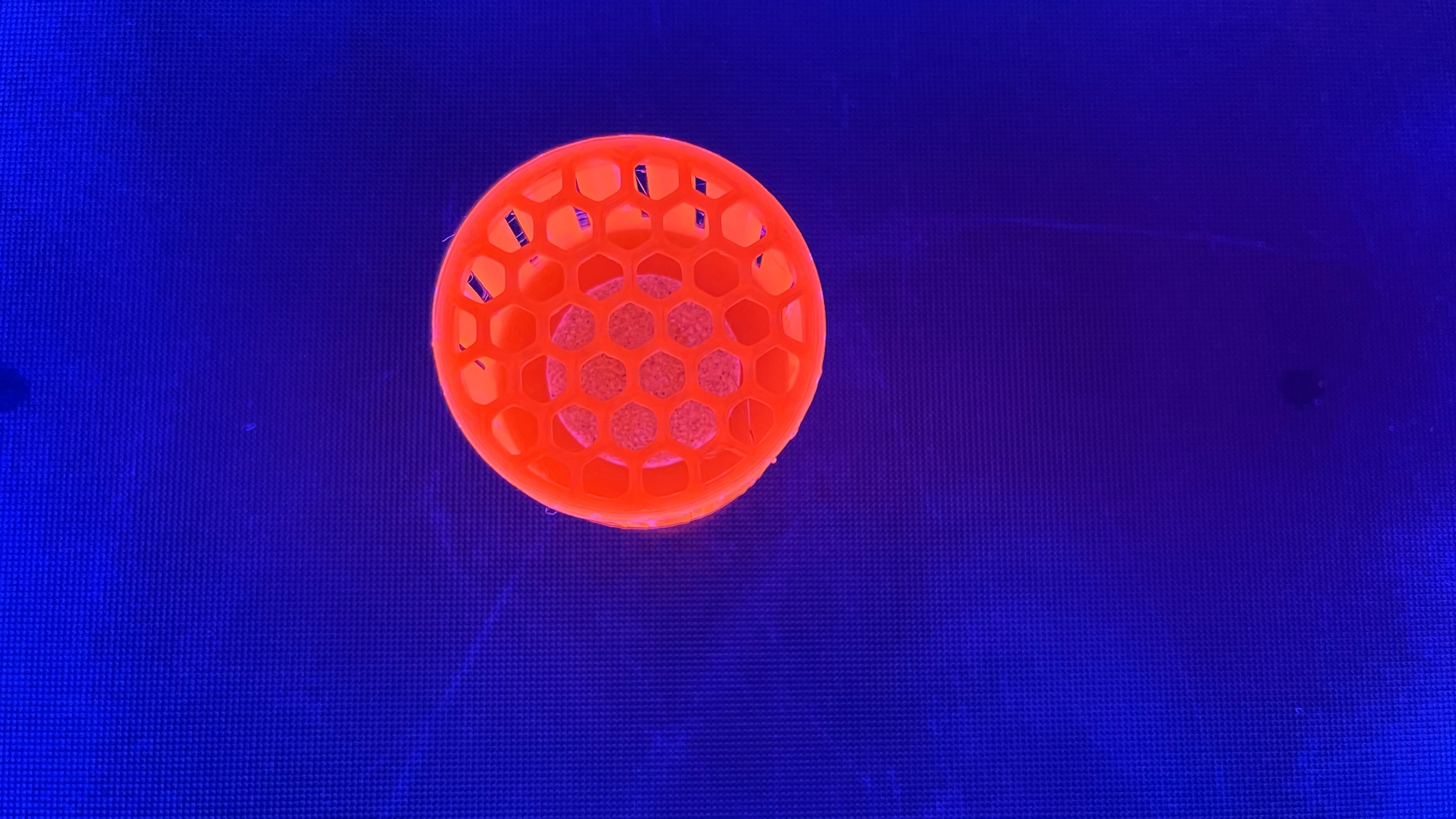 2-Inch Mushroom Detention Center Coral Holder