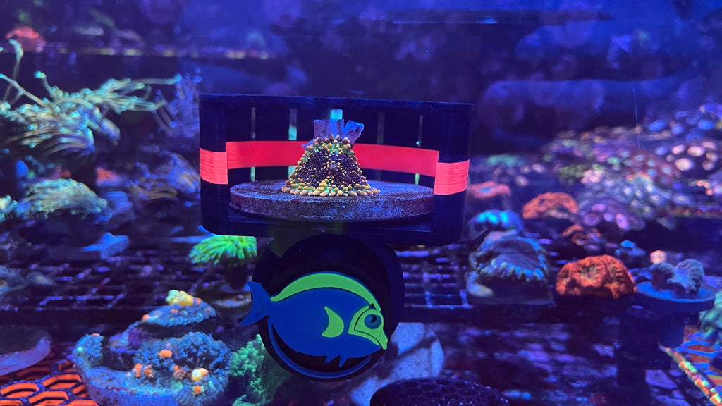 ClearShroom Magnetic Mushroom Cage